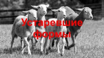 Регистрация крестьянских (фермерских) хозяйств