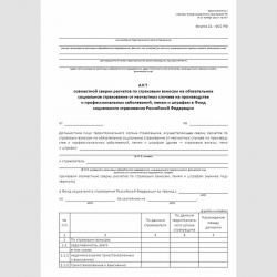 Форма "Акт совместной сверки расчетов по страховым взносам на обязательное социальное страхование от несчастных случаев на производстве и профессиональных заболеваний, пеням и штрафам в Фонд социального страхования Российской Федерации" (форма 21 - ФСС РФ