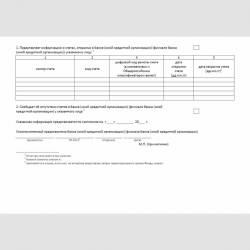 Форма "Справка о наличии счетов". Стр. 2