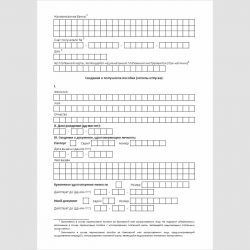 Форма "Заявление о выплате (перерасчете) пособия (оплате отпуска)". Стр. 2