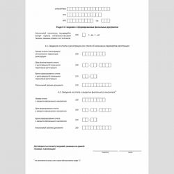 Форма КНД 1110061 "Заявление о регистрации (перерегистрации) контрольно-кассовой техники". Раздел 4. Сведения о сформированных фискальных документах