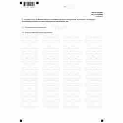 Форма №Р13001 "Заявление о государственной регистрации изменений, вносимых в учредительные документы юридического лица" (КНД 1111502). Лист Л "Сведения о кодах по Общероссийскому классификатору видов экономической деятельности". Стр. 2