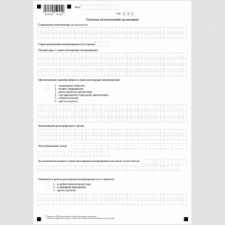 Форма КНД 1113024 "Заявление иностранной организации о постановке на учет в налоговом органе в связи с осуществлением деятельности, указанной в пункте 9 статьи 306 Налогового кодекса Российской Федерации" (Форма №11ПП-Учет). Стр. 2