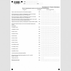 Форма КНД 1151029 "Налоговая декларация по налогу на дополнительный доход от добычи углеводородного сырья". Приложение №7 к Разделу 2