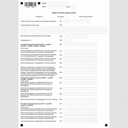 Форма КНД 1151029 "Налоговая декларация по налогу на дополнительный доход от добычи углеводородного сырья". Раздел 2