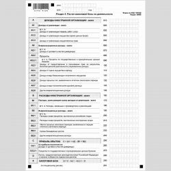 Форма КНД 1151038 "Налоговая декларация по налогу на прибыль иностранной организации". Стр. 10