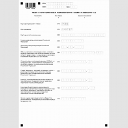Форма КНД 1151089 "Налоговая декларация по акцизам на автомобильный бензин, дизельное топливо, моторные масла для дизельных и (или) карбюраторных (инжекторных) двигателей, прямогонный бензин, средние дистилляты, бензол, параксилол, ортоксилол, авиационный