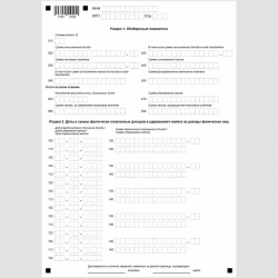 Форма КНД 1151099 "Расчет сумм налога на доходы физических лиц, исчисленных и удержанных налоговым агентом" (форма 6-НДФЛ). Стр. 2