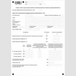 Форма КНД 1152016 "Налоговая декларация по единому налогу на вмененный доход для отдельных видов деятельности". Раздел 2 "Расчет суммы единого налога на вмененный доход по отдельным видам деятельности