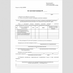 Форма КНД 1160098 "Акт налоговой проверки"
