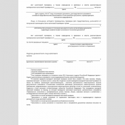 Форма КНД 1160098 "Акт налоговой проверки". Стр. 4