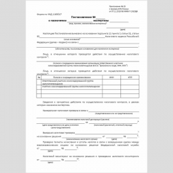 Форма КНД 1165017 "Постановление о назначении экспертизы". Стр. 1