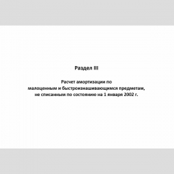 Форма "Книга учета доходов и расходов и хозяйственных операций индивидуального предпринимателя" Раздел III Расчет амортизации по малоценным и быстроизнашивающимся предметам, не списанным по состоянию на 1 января 2002 г.