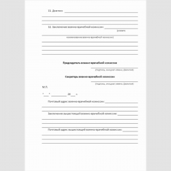 Форма "Справка о состоянии здоровья гражданина, выезжающего в иностранное государство". Стр. 3