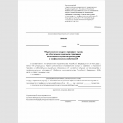 Форма "Приказ об установлении скидки к страховому тарифу на обязательное социальное страхование от несчастных случаев на производстве и профессиональных заболеваний"
