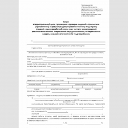 Форма "Запрос в территориальный орган страховщика о проверке сведений о страхователе (страхователях), выдавшем (выдавших) застрахованному лицу справку (справки) о сумме заработной платы, иных выплат и вознаграждений для исчисления пособий по временной нет