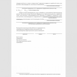 Форма "Запрос в территориальный орган Пенсионного фонда Российской Федерации о представлении сведений о заработной плате, иных выплатах и вознаграждениях застрахованного лица". Стр. 2