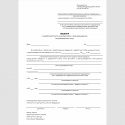 Форма "Сведения о заработной плате, иных выплатах и вознаграждениях застрахованного лица"
