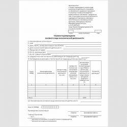 Форма "Cправка-подтверждение основного вида экономической деятельности"