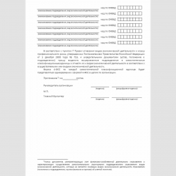 Форма "Заявление о выделении подразделений страхователя в самостоятельные классификационные единицы в составе страхователя". Стр. 2