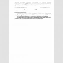 Форма "Справка" (о следовании к месту получения документа, удостоверяющего личность). Стр. 2