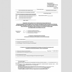 Форма "Сведения о внесении в реестр филиалов и представительств международных организаций и иностранных некоммерческих неправительственных организаций сведений о филиалах, представительствах международных организаций и иностранных некоммерческих неправите