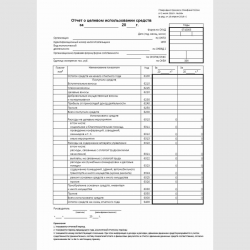 Форма "Отчет о целевом использовании средств" (ОКУД 0710003)