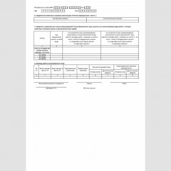 Форма "Сведения о заработке (вознаграждении), доходе, сумме выплат и иных вознаграждений, начисленных и уплаченных страховых взносах, о периодах трудовой и иной деятельности, засчитываемых в страховой стаж застрахованного лица" (форма СЗВ-ИСХ). Стр. 2