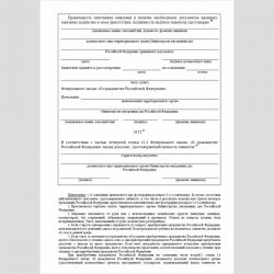 Форма "Заявление о приеме в гражданство или восстановлении гражданства Российской Федерации". Стр. 8