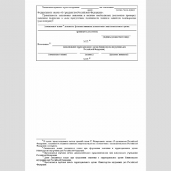 Форма "Заявление о приеме в гражданство Российской Федерации ребенка или недееспособного лица". Стр. 4