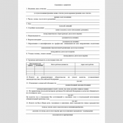 Форма "Заявление о выходе из гражданства Российской Федерации, лица, проживающего на территории иностранного государства". Стр. 2