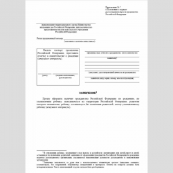 Форма "Заявление об оформлении наличия гражданства Российской Федерации по рождению у ребенка"